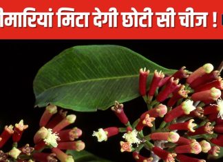 यह चुन्नू सी चीज बेहद शक्तिशाली, गैस-ब्लोटिंग और दांत दर्द में बेहद चमत्कारी ! सिर्फ चबाने से होगा कमाल