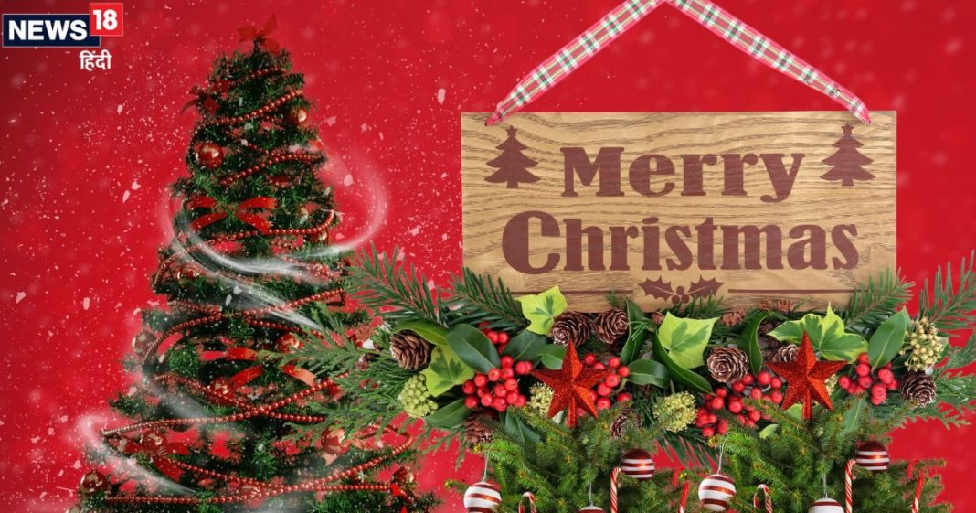 Christmas Tree Vastu: गुड लक का प्रतीक है क्रिसमस ट्री, घर में रखने से दूर होंगे दोष, चेहरे पर आएगी मुस्कान