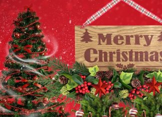 Christmas Tree Vastu: गुड लक का प्रतीक है क्रिसमस ट्री, घर में रखने से दूर होंगे दोष, चेहरे पर आएगी मुस्कान