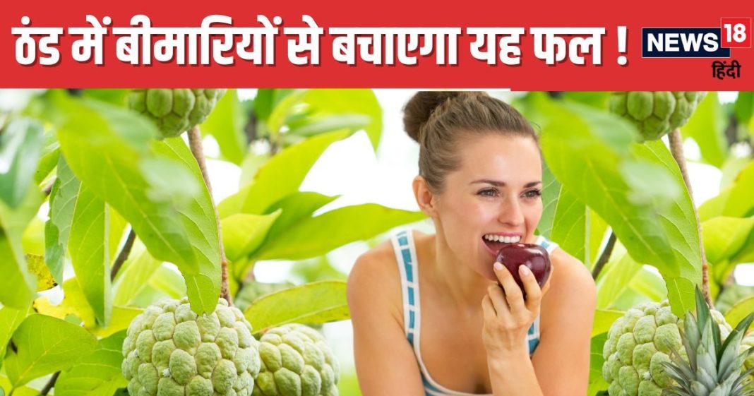 सर्दियों के इस फल के आगे पानी मांगती हैं बीमारियां ! देखने में भी बेहद अट्रैक्टिव, नाम जानकर मुंह में आएगा पानी