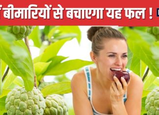 सर्दियों के इस फल के आगे पानी मांगती हैं बीमारियां ! देखने में भी बेहद अट्रैक्टिव, नाम जानकर मुंह में आएगा पानी