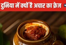 दुनिया के अजीबोगरीब अचार! हजारों साल पहले इस फल का बना था अचार
