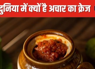 दुनिया के अजीबोगरीब अचार! हजारों साल पहले इस फल का बना था अचार