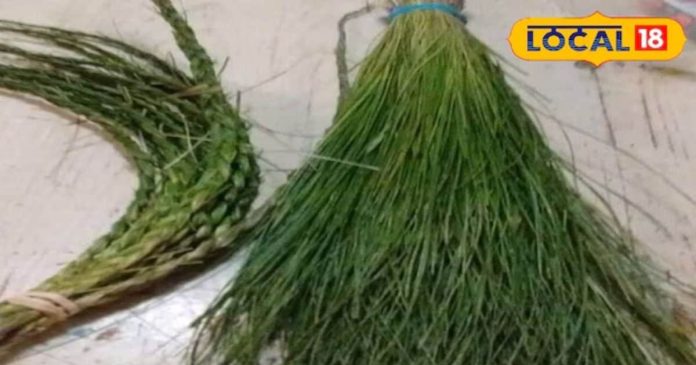 dharpai-grass-spiritual-significance-2024-11-5ed6dd877caaaf06755e93985284e90b-16x9.jpg