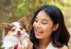 how to manage diabetes in pets diagnosis and treatment guide sa