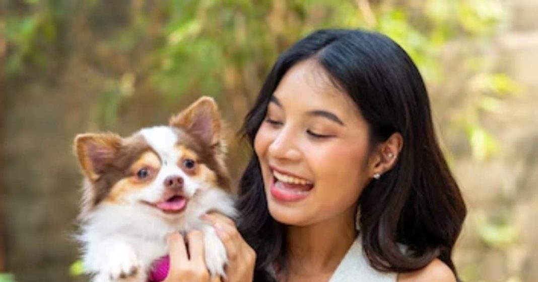 how to manage diabetes in pets diagnosis and treatment guide sa