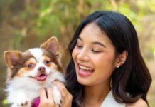 how to manage diabetes in pets diagnosis and treatment guide sa