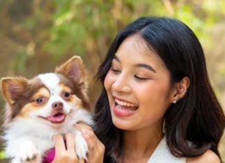 how to manage diabetes in pets diagnosis and treatment guide sa