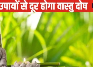 Feng Shui Vastu: घर में रखें ये 10 सामान, दूर होगा वास्तु दोष और पैसों की होगी बारिश, जानिए फेंगशुई से जुड़े उपाय