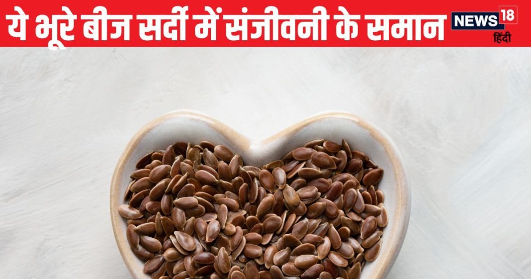 ये भूरे बीज सर्दियों में संजीवनी के समान, तासीर में गर्म कोल्ड फ्लू रखे कोसों दूर, कब्ज से भी दिलाए छुटकारा