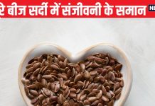 ये भूरे बीज सर्दियों में संजीवनी के समान, तासीर में गर्म कोल्ड फ्लू रखे कोसों दूर, कब्ज से भी दिलाए छुटकारा