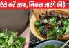 साग काटने धोने में लगते हैं घंटों, इन 4 आसान ट्रिक से करें झटपट साफ, पत्तों पर चिपके कीड़े, मिट्टी मिनटों में निकलेगी