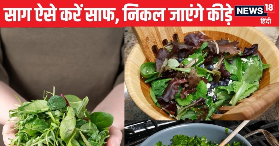 साग काटने धोने में लगते हैं घंटों, इन 4 आसान ट्रिक से करें झटपट साफ, पत्तों पर चिपके कीड़े, मिट्टी मिनटों में निकलेगी