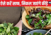 साग काटने धोने में लगते हैं घंटों, इन 4 आसान ट्रिक से करें झटपट साफ, पत्तों पर चिपके कीड़े, मिट्टी मिनटों में निकलेगी