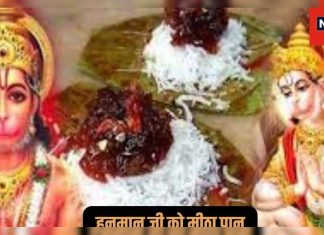 बजरंगबली को पान का भोग लगाने से होते हैं अनेकों लाभ, धन की समस्या हो जाएगी दूर | – News in Hindi