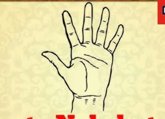 इस नक्षत्र में जन्मे लोग बनते हैं बड़े बिल्डर, मानसिक अवसाद से भी पड़ता है गुजरना, जानें उपाय