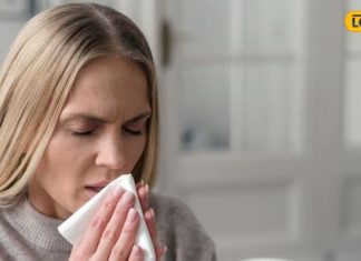 ayurvedic remedies for seasonal diseases and immunity boosting sa