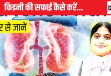 कैसे करें किडनी की अंदर से सफाई, नेफ्रोलॉजिस्ट से जान लें इसका तरीका, गुर्दे के हर कोने से निकल जाएगी गंदगी