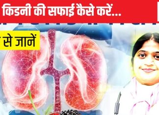 कैसे करें किडनी की अंदर से सफाई, नेफ्रोलॉजिस्ट से जान लें इसका तरीका, गुर्दे के हर कोने से निकल जाएगी गंदगी