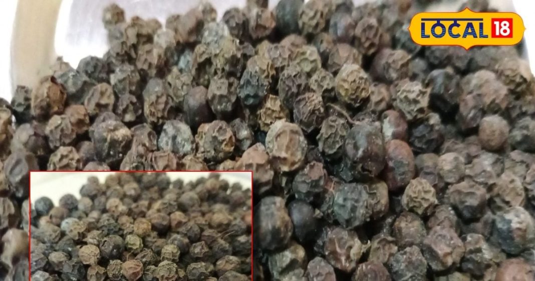 इन बीमारियों के लिए काल हैं ये दाने! माइग्रेन में भृंगराज रस के साथ करें यूज