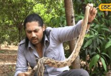 हार्ट मरीजों के लिए अमृत है बिच्छू, सांप और मकड़ी का जहर! इन रोगों में भी कारगर, ब्यूटी प्रोडक्ट में होता है इस्तेमाल