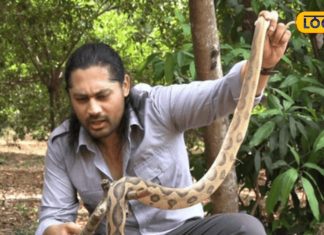 हार्ट मरीजों के लिए अमृत है बिच्छू, सांप और मकड़ी का जहर! इन रोगों में भी कारगर, ब्यूटी प्रोडक्ट में होता है इस्तेमाल