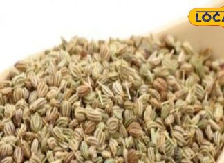 benefits of ajwain for mouth ulcers surgery breastfeeding Treatment of cough cold and fever – Bharat.one हिंदी