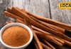 benefits of dalchini or cinnamon for cancer treatment of fever swelling common cold and vomiting – Bharat.one हिंदी