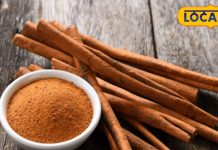 benefits of dalchini or cinnamon for cancer treatment of fever swelling common cold and vomiting – Bharat.one हिंदी
