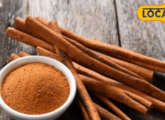 benefits of dalchini or cinnamon for cancer treatment of fever swelling common cold and vomiting – Bharat.one हिंदी