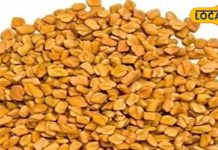 सुपरफूड या देसी टॉनिक! महिलाओं के लिए वरदान हैं ये दानें, वजन घटाने, पीरियड्स के दर्द में कारगर