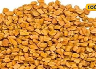 सुपरफूड या देसी टॉनिक! महिलाओं के लिए वरदान हैं ये दानें, वजन घटाने, पीरियड्स के दर्द में कारगर