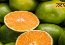eating every day in winters benefits of orange for hair growth treatment of high bloodpresusre and skin – Bharat.one हिंदी