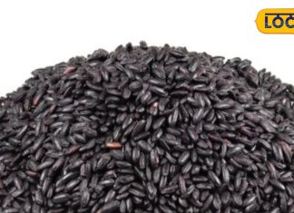 डायबिटीज मरीजों के लिए अमृत समान है ये चावल, वजन कंट्रोल करने में सहायक, और भी हैं फायदे