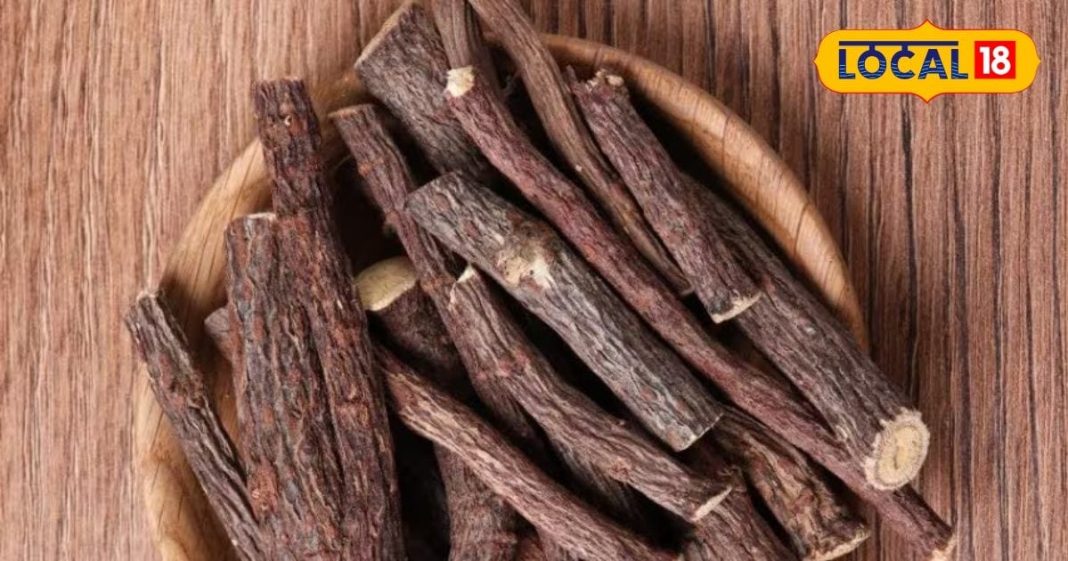 Mulethi root and powder benefits in winter liquorice powder for cough and cold treatment – Bharat.one हिंदी