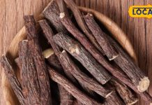 Mulethi root and powder benefits in winter liquorice powder for cough and cold treatment – Bharat.one हिंदी