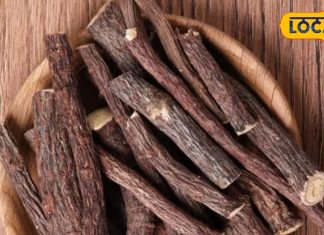Mulethi root and powder benefits in winter liquorice powder for cough and cold treatment – Bharat.one हिंदी