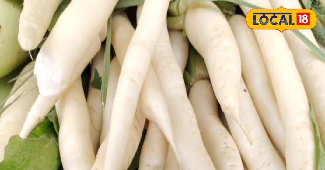 सर्दियों में सेहत को दुरुस्त रखती है जादुई सब्जी, कई बीमारियों के लिए रामबाण