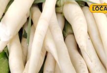 सर्दियों में सेहत को दुरुस्त रखती है जादुई सब्जी, कई बीमारियों के लिए रामबाण