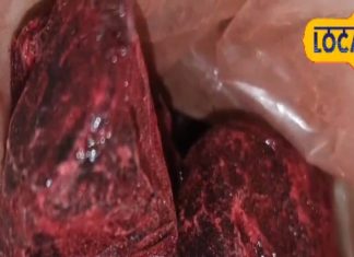 संजीवनी से कम नहीं है ये औषधि, खून में जमा गंदगी कर देगी साफ, इन बीमारियों में