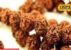 importance of rudraksha and its types benefits for mental and physical health sa