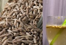 वजन कम करने में नहीं असर कर रहा जीरा पानी? इन 5 टिप्स को करें फॉलो, कईयों को नहीं मालूम सीक्रेट