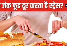 ज्यादा टेंशन में जंक फूड्स खाने का क्यों करता है मन? आखिर क्या है इसकी वजह, हकीकत जान लीजिए