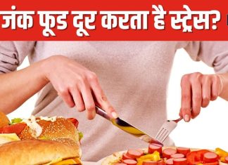 ज्यादा टेंशन में जंक फूड्स खाने का क्यों करता है मन? आखिर क्या है इसकी वजह, हकीकत जान लीजिए