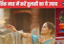 kartik maas 2024: 15 नवंबर तक कर लें तुलसी जी का ये 1 उपाय, कार्तिक मास में पापों का होगा नाश, मिलेगा पुण्य फल