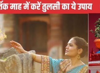 kartik maas 2024: 15 नवंबर तक कर लें तुलसी जी का ये 1 उपाय, कार्तिक मास में पापों का होगा नाश, मिलेगा पुण्य फल