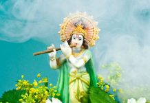 भगवान कृष्ण की पाना चाहते हैं कृपा? इन पेड़ की पत्तियां करें अर्पित, जिंदगी में आएंगे बड़े बदलाव!