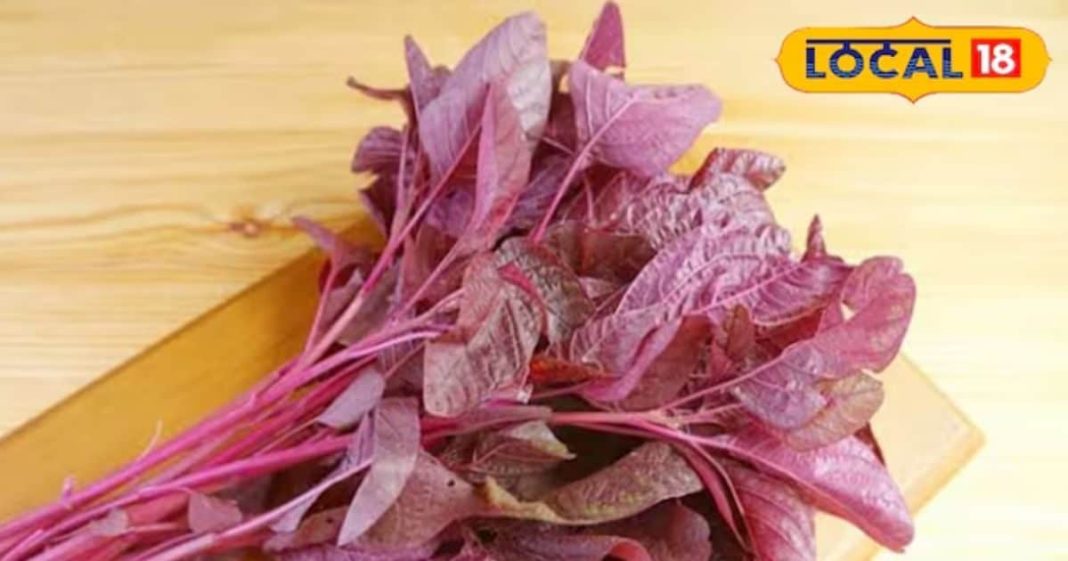 शरीर में जादू की तरह काम करती है जड़ी-बूटी! कैंसर, डायबिटीज जैसी बीमारियों पर असरदार