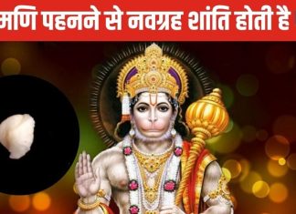 Machh Mani: जादुई रत्न है मच्छ मणि, शनि, राहु के साथ कुंडली के दोषों से करेगा रक्षा, जानें पहनने की विधि और अन्य फायदे