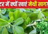 सर्दियों में जरूर खाना चाहिए मेथी का साग, आखिर क्यों कहा जाता है सेहत के लिए अमृत, जान लें इसके फायदे